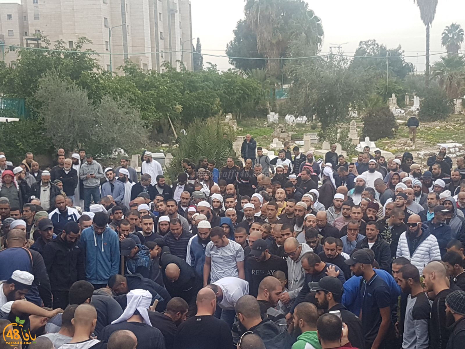 tasheeye3 om mhmoud (7).jpg